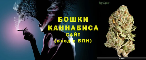 мдпв Ельня