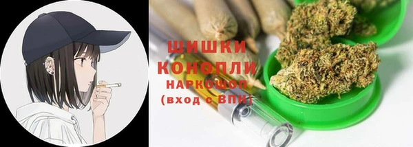 прущие грибы Абаза