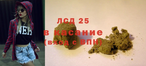 прущие грибы Абаза
