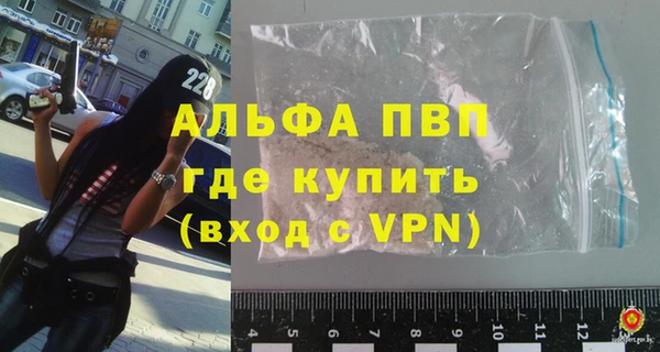 прущие грибы Абаза