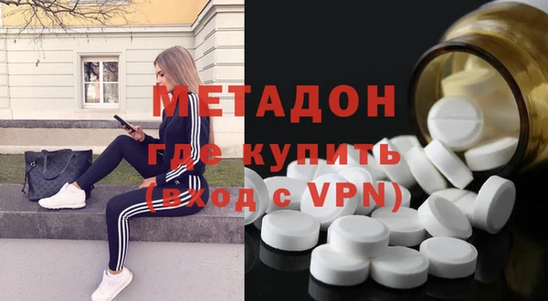 прущие грибы Абаза