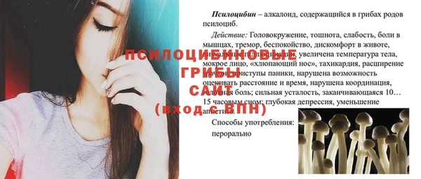 прущие грибы Абаза