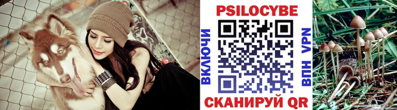 Галлюциногенные грибы мицелий Краснозаводск